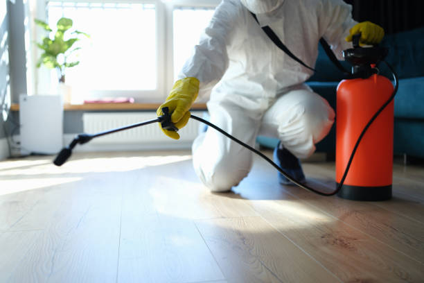 Reliable Sewage Cleanup contractor in Empire, NV by Trauma Clean Pros